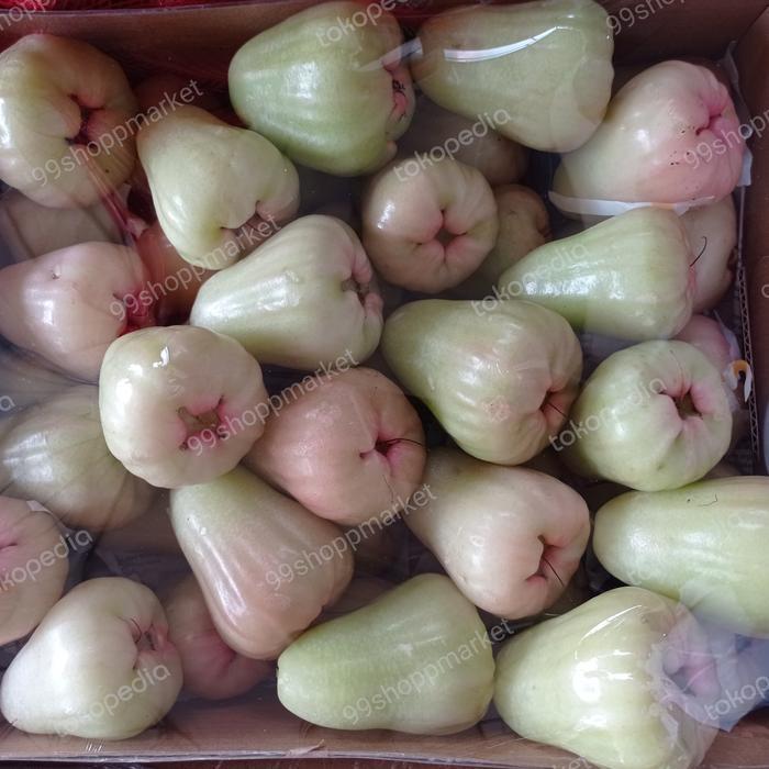 Jambu Air Delima madu manis 1 kg