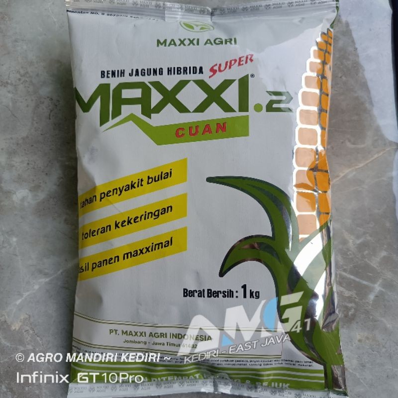 Benih jagung Maxxi 2 tahan bulai dan kekeringan 1kg tongkol besar exp oktober 2026