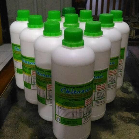 pengawet organik chitosan, pengawet sayuran, buah, daging, ikan,
