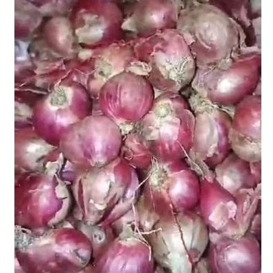 Bawang Merah Brebes 1kg Besar Kering