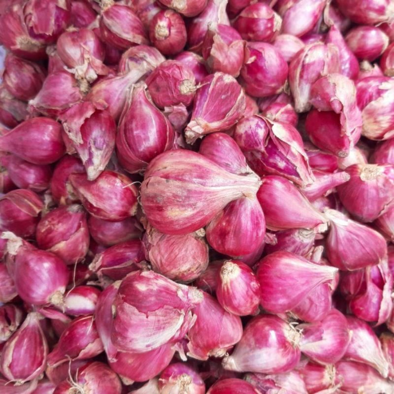 Bawang Merah Brebes Besar 1Kg Harga Grosir