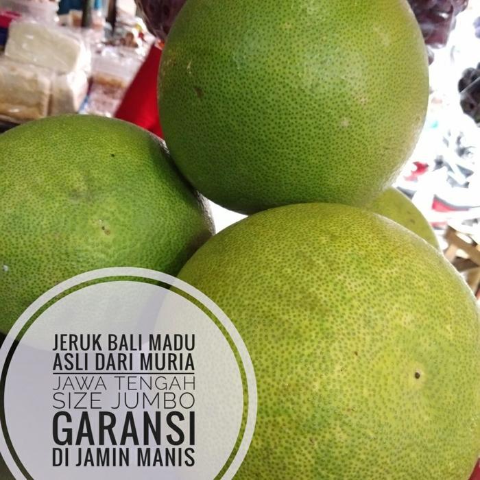 BUAH JERUK BALI MURIA / PAMELO MADU