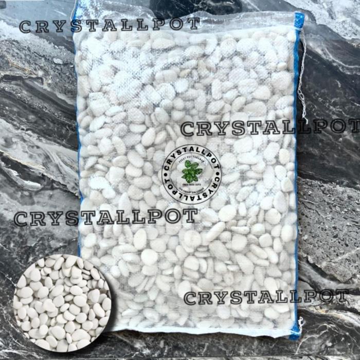 batu koral putih | batu taman | batu hias 1 karung