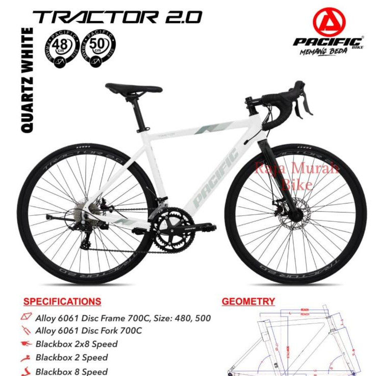 TERLARIS sepeda balap roadbike pacific tractor 2.0 frame alloy 16 speed roadbike pacific 700c