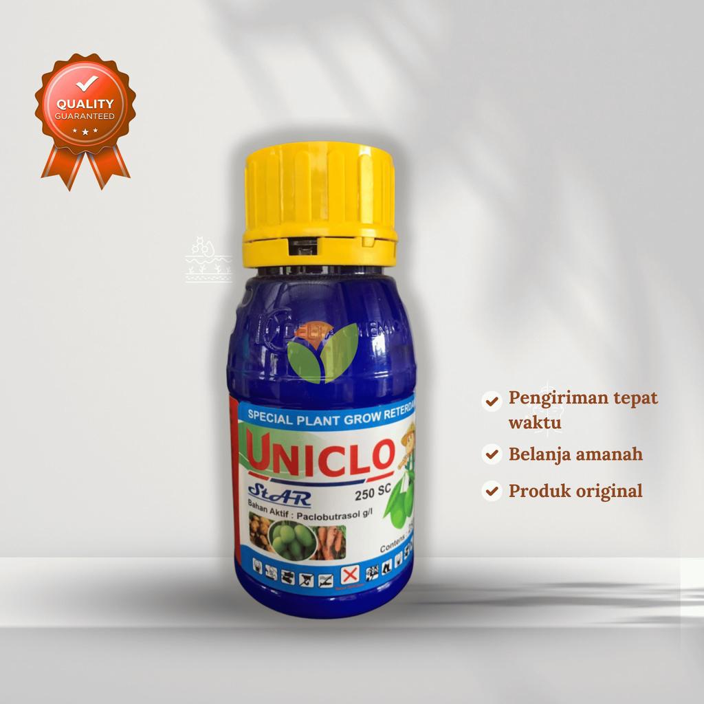 Fungisida UNICLO untuk zat pengatur tumbuh pada tanaman mangga/apel/nanas