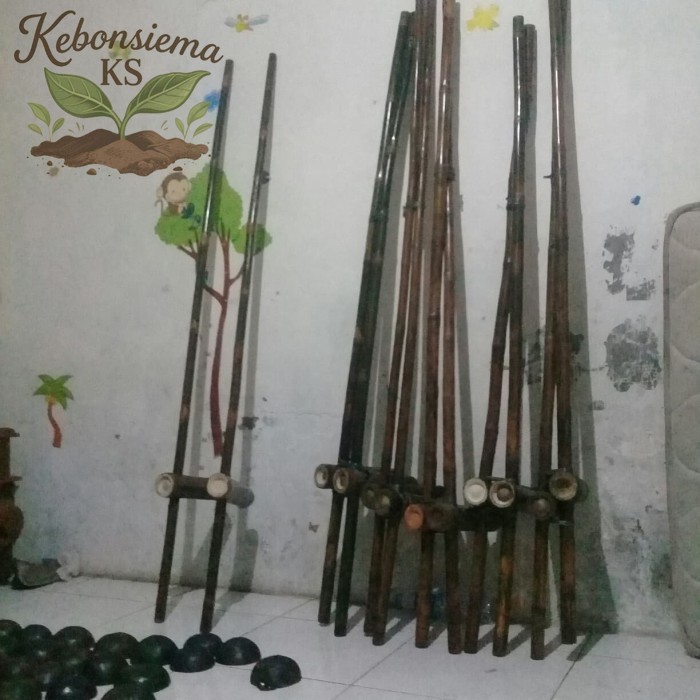 egrang bambu untuk anak paud - sd kelas 3