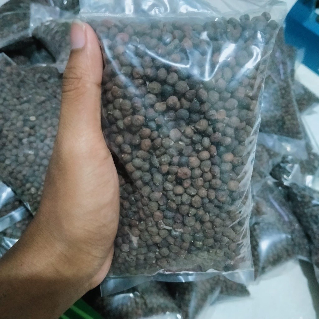 KLENTENG ISI KAPUK UMPAN BAWAL UMPAN IKAN UMPAN JITU BAWAL