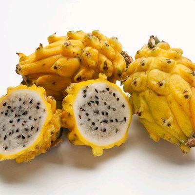 Buah naga kuning import 1 kg