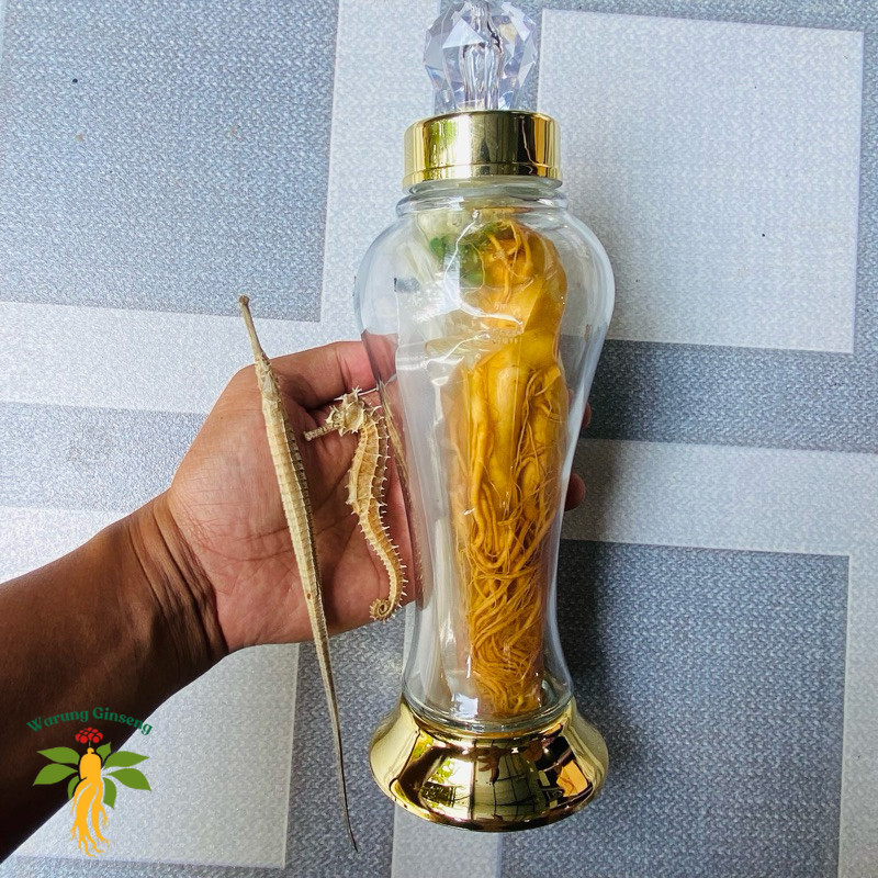 Paket Botol Ginseng 660ml Isi Ginseng Jumbo + Kuda Laut + Naga Laut | Untuk Rendaman Herbal Lengkap