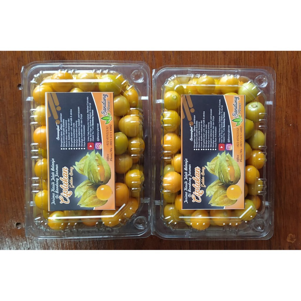 Terlaris ReadyJual Buah CIPLUKAN KUPAS 250 Gram Buah Enak Banyak Manfaat