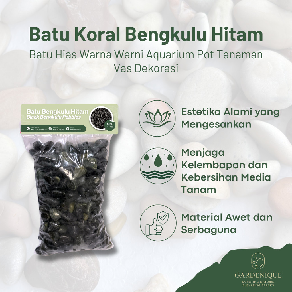 Batu Koral Bengkulu HITAM 500 GR – Batu Hias Tanaman & Aquarium Aquascape