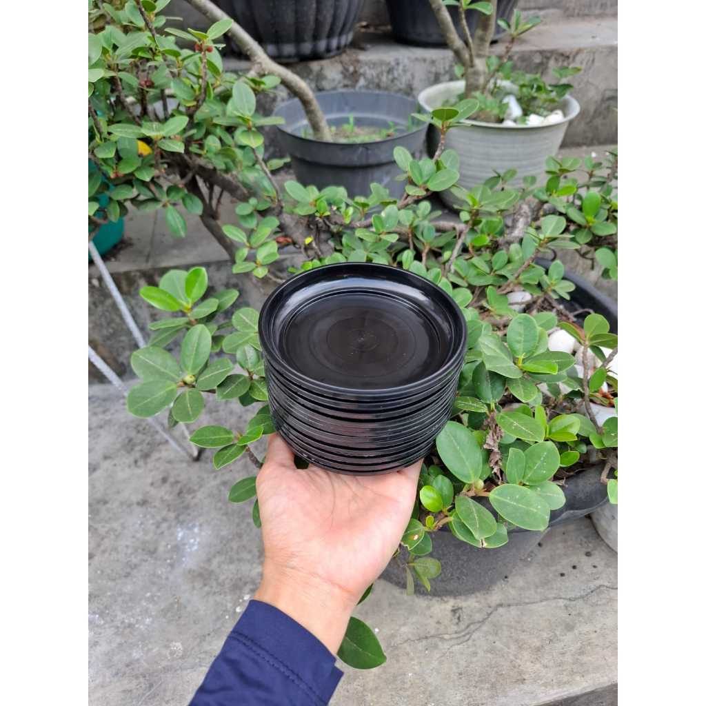 (12pc) LUSINAN TATAKAN 15 (12cm) : tatakan alas pot 15 alas pot bunga cantik murah grosir