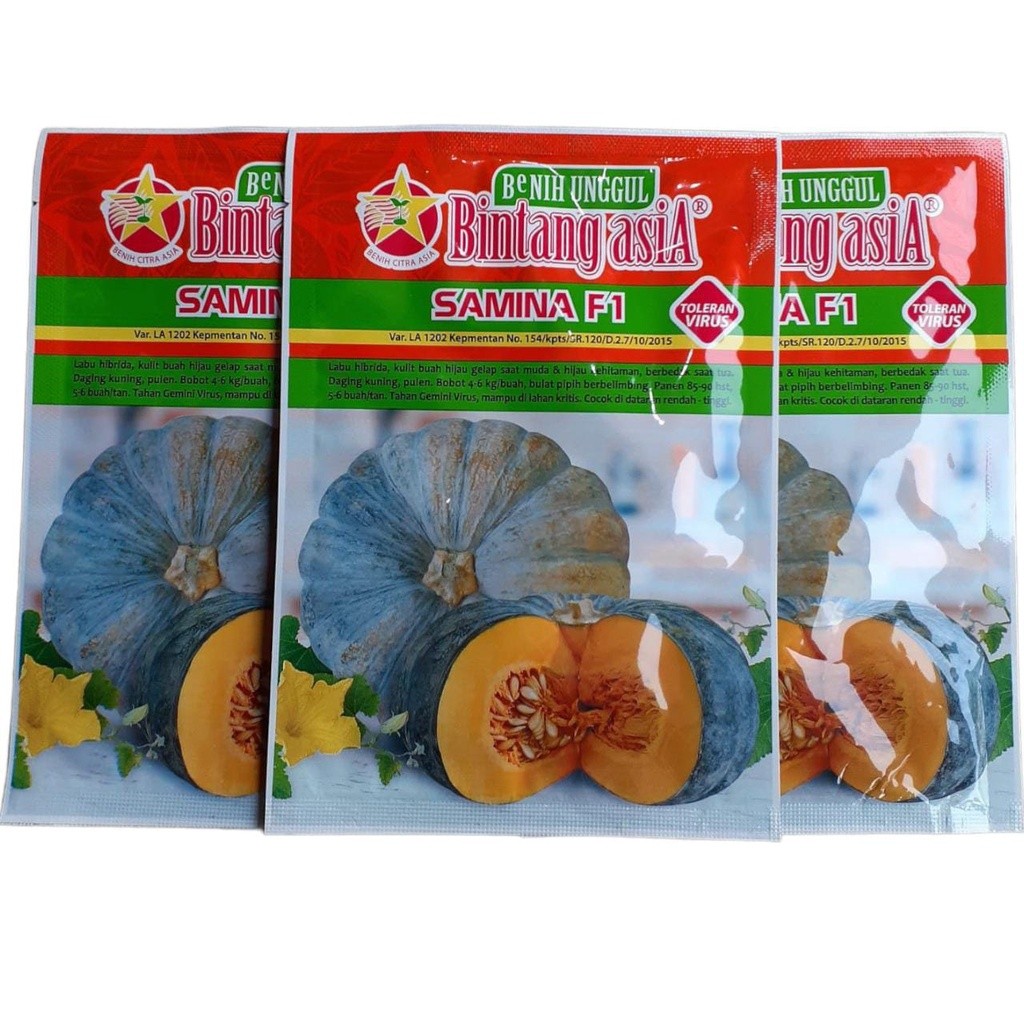 Samina 10gr Benih Waluh Labu  Kuning Super Jumbo Bintang Asia Suprema