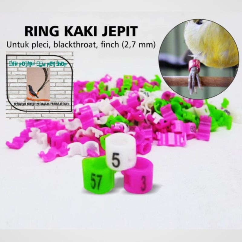 RING JEPIT 2,7 MM UNTUK KAKI BURUNG PLECI, BLACKTHROAT, FINCH