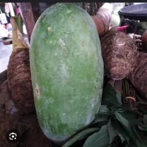bligo/kundur/blonceng 1 buah