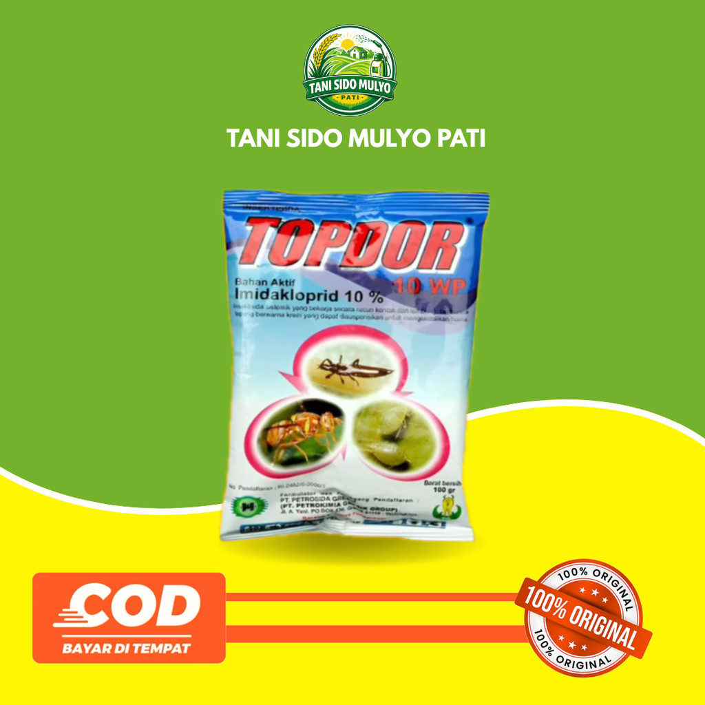Insektisida Sistemik TOPDOR 10WP Hama Wereng Kutu Lalat Buah Thrips