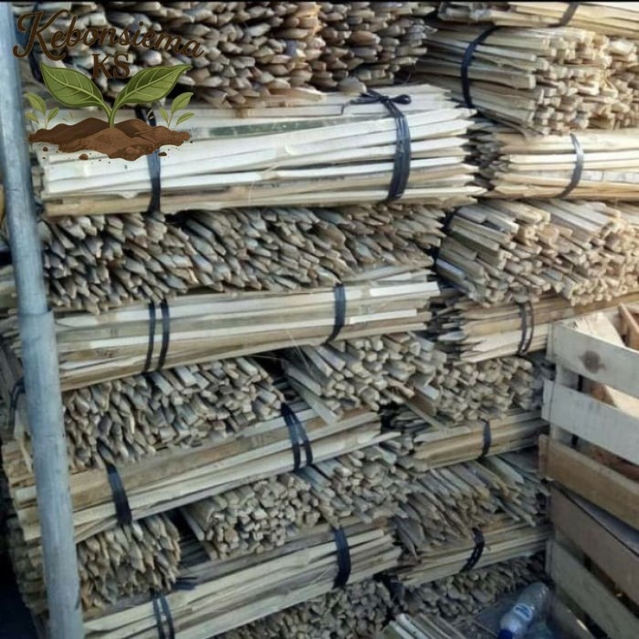 batang bilah bambu 1M -untuk tanaman pagar