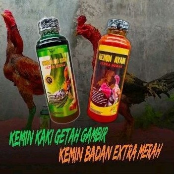 PROMO [ PAKET KEMIN ] Kemin badan & kemin kaki ayam getah gambir ayam adu aduan tarung