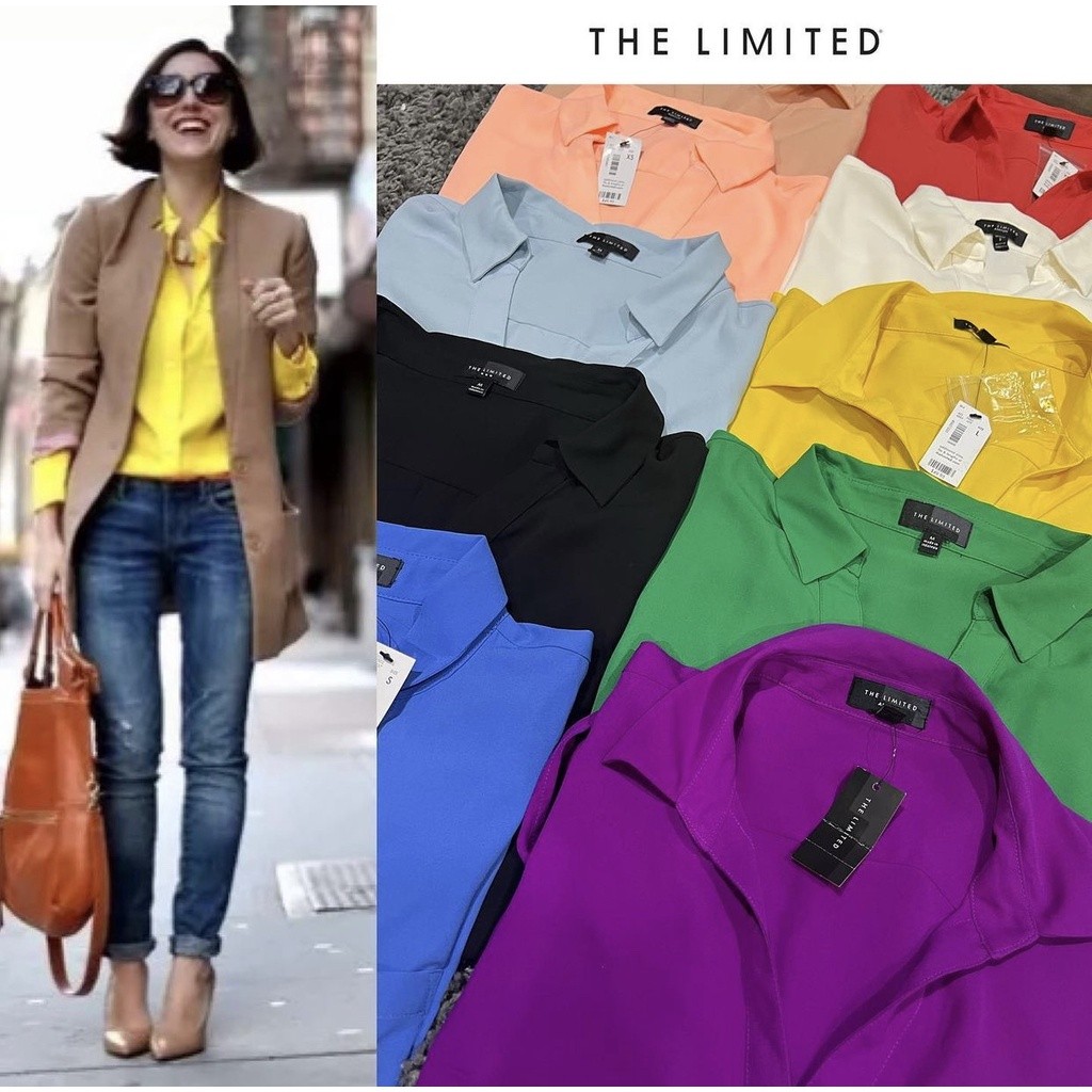 The Limited Ashton Office Blouse Polyester