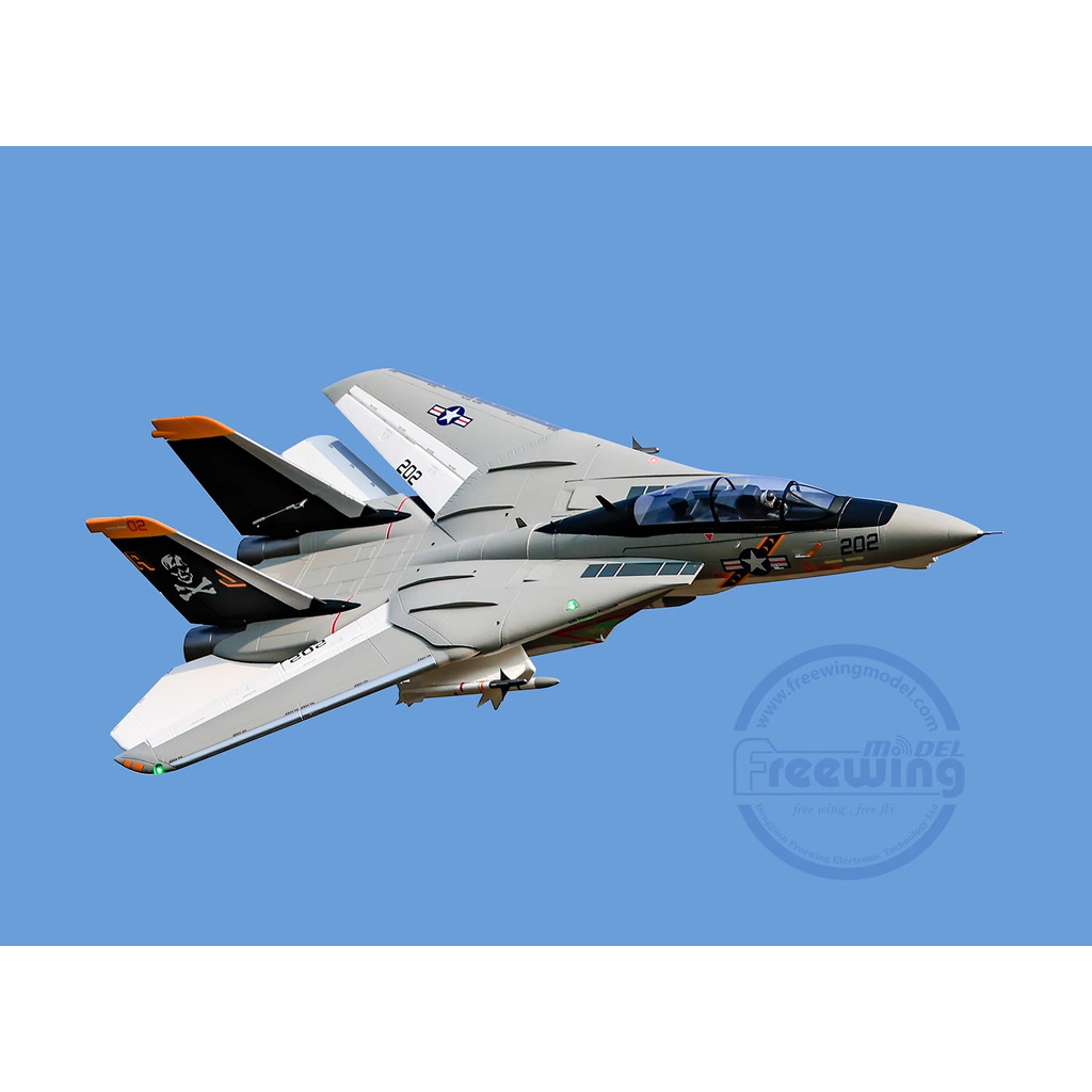 Freewing Twin 64mm F-14 F14 Tomcat RC Plane