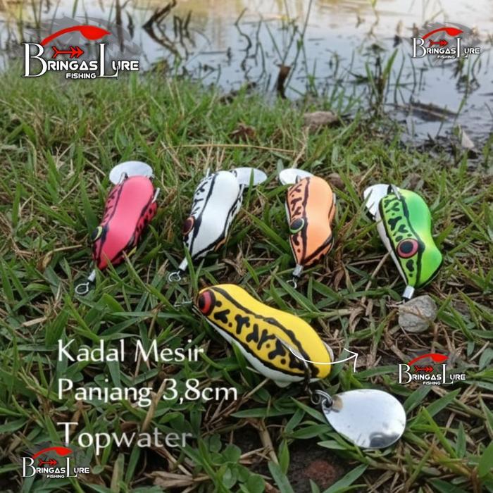 Promo Softfrog BRINGAS KADAL 3,8cm Topwater - Umpan Gabus Paling Amis & Gacor Lure Ikan - KADAL HIJA