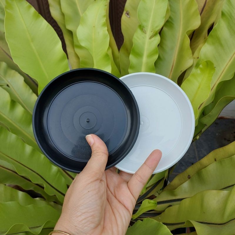 (12pc) LUSINAN TATAKAN 15 (12cm) : tatakan alas pot 15 alas pot bunga cantik murah grosir