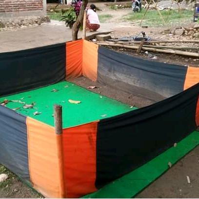 Geber kain / geber spon ayam 2x2 meter geber aduan ayam bangkok untuk abar ayam geber  ayam