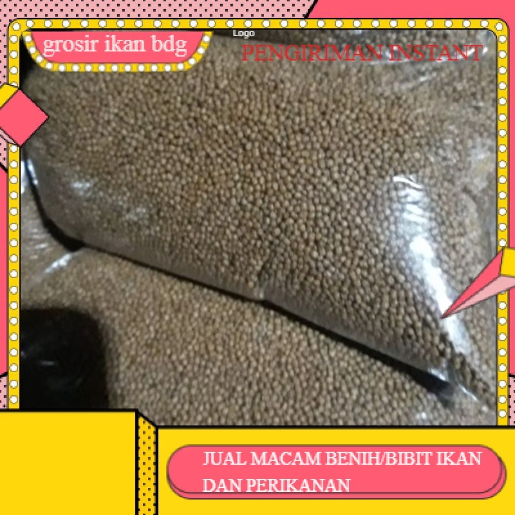 pakan ikan lele , nila , patin ,bawal untuk ikan ukuran kecil  uk 1 mm 500 gram