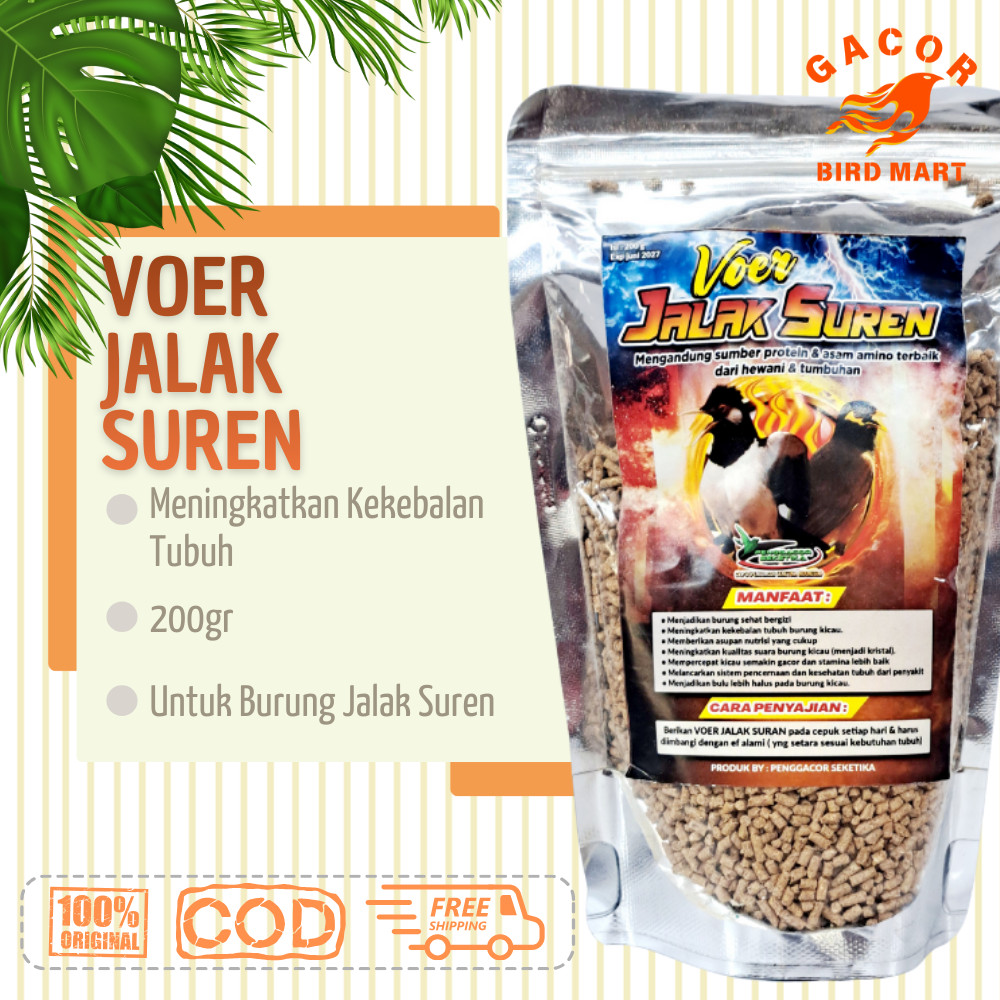 Voer Pakan Jalak Suren Penggacor Burung Makanan pakan burung jalak suren