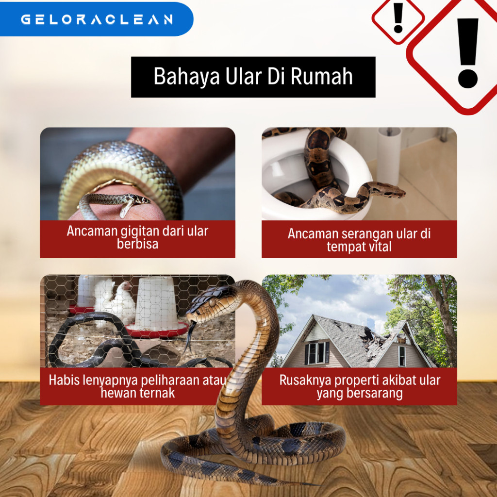 New SNAKE AWAY Gel Racun Pembasmi Ular Ampuh Aromatic Anti Ular Cegah Ular Masuk Rumah Snake Repella