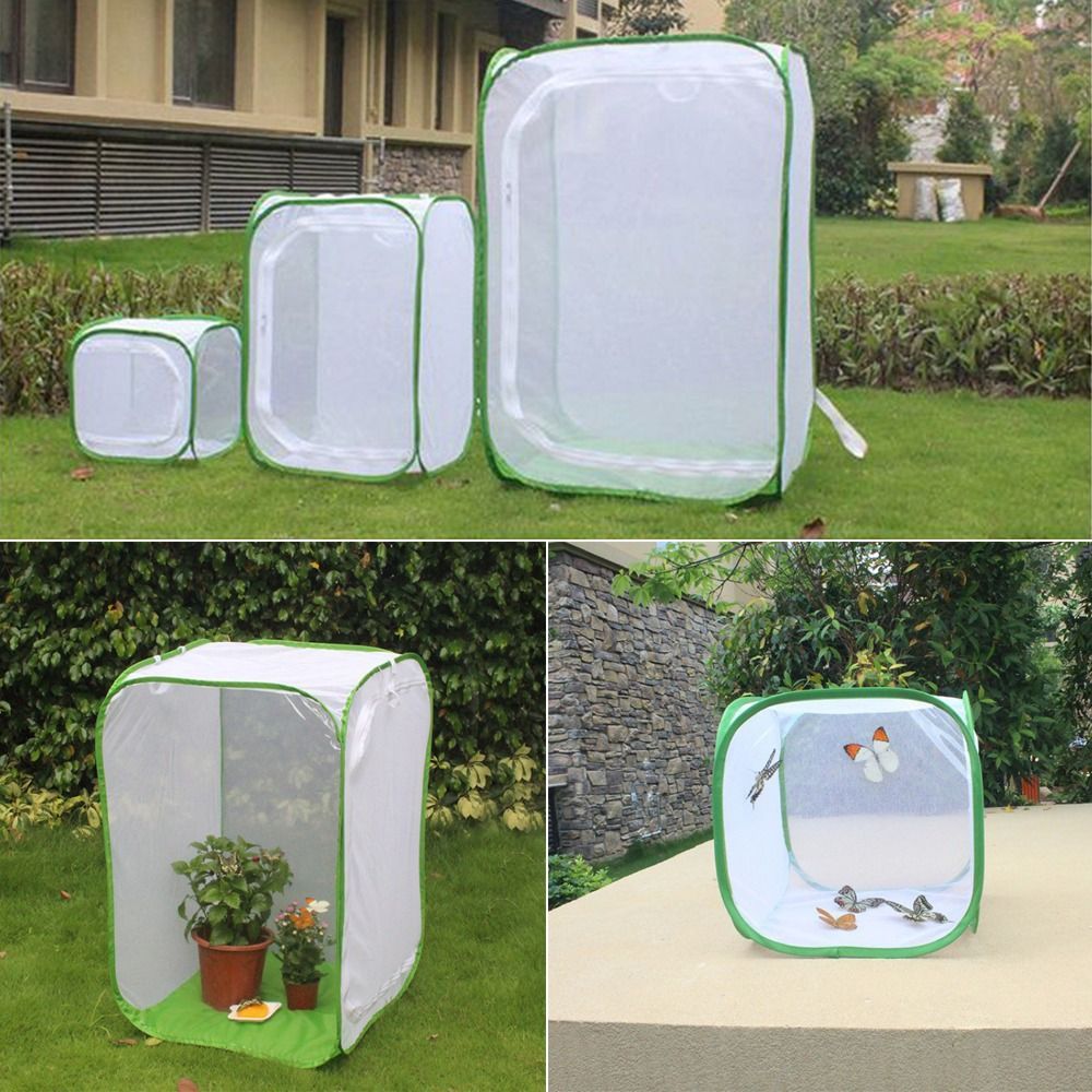 Durable Pop-up Butterfly Habitat Collapsible Transparent Insect Cage Outdoor Mesh Cages Plant Greenh