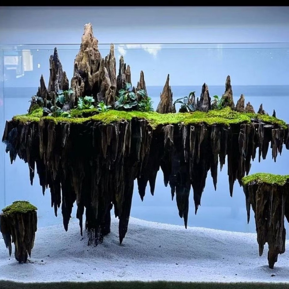 kayu rentek aquascape kecil untuk rangkaian/dekorasi aquarium