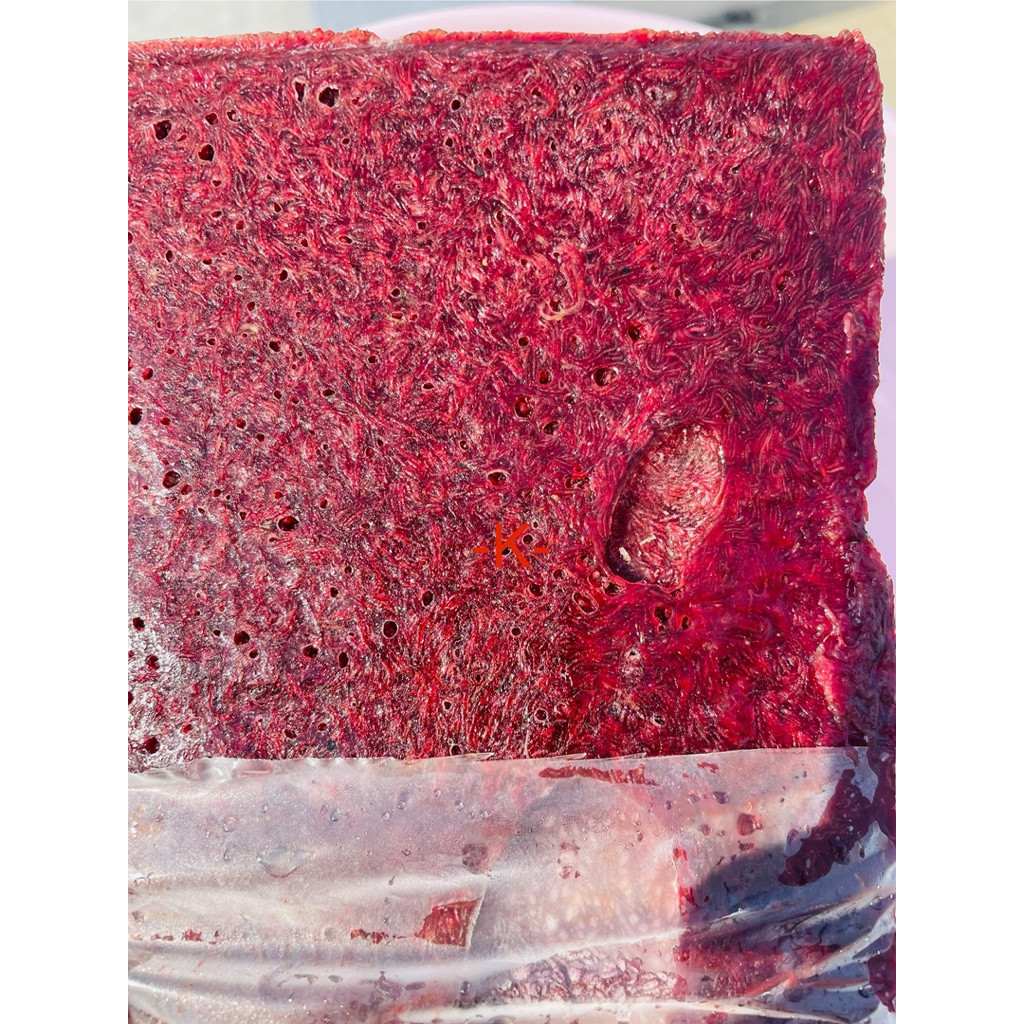 Cacing Beku Merah Darah 1 Kg Super Premium