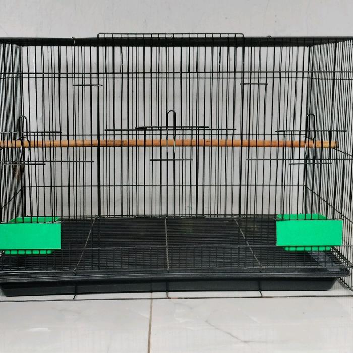 Sangkar Kandang Umbaran burung  Size Large L 60x40cm Ekonomis Fullset Free 2 Cepuk Plus Tatakan Tang