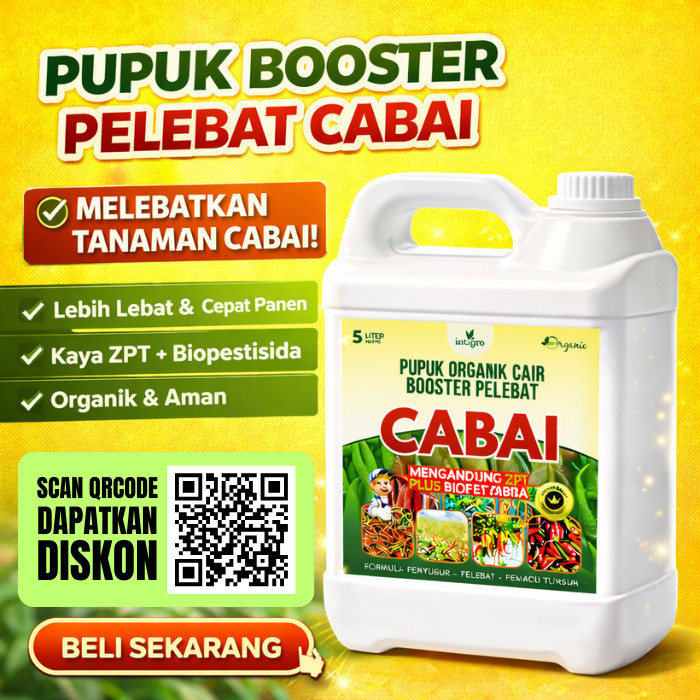 Pupuk Pelebat Cabe Ampuh Perbanyak Buah - Booster Alami Bunga Cabai Rawit Anti Rontok ZPT Anti Hama
