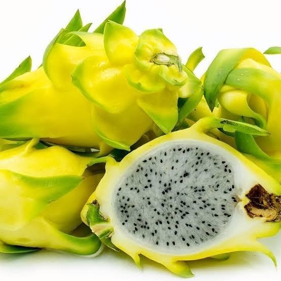 Promo buah naga putih - Buah naga putih kulit kuning super fresh 1 kg