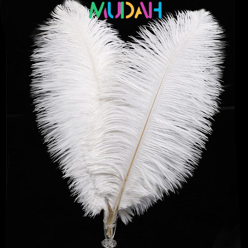 35-45cm Feathers Payet Bulu Ostrich/Bulu Burung Ostrich Asli/  Bulu Ostrich/Premium Putih  & Hitam