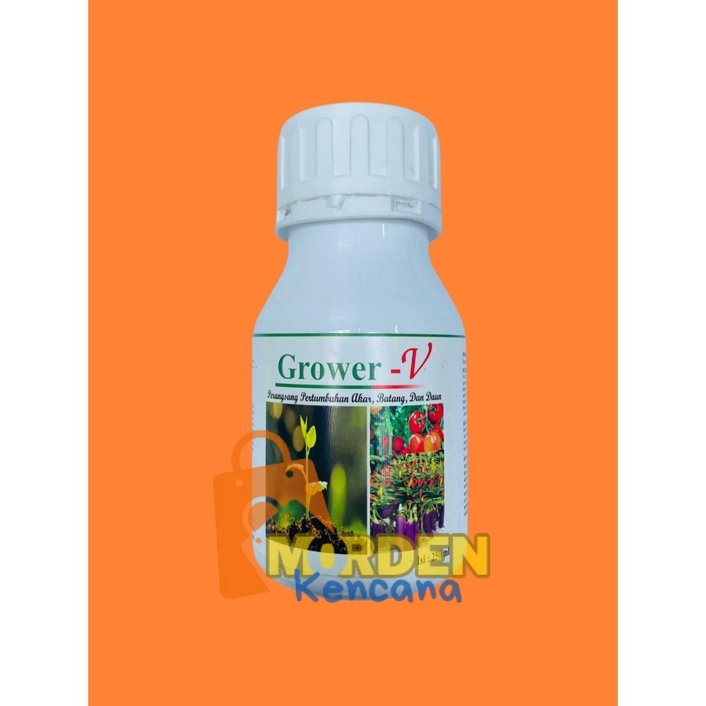 pupuk perangsang pertumbuhan akar batang dan daun GROWER V 250 ml MK