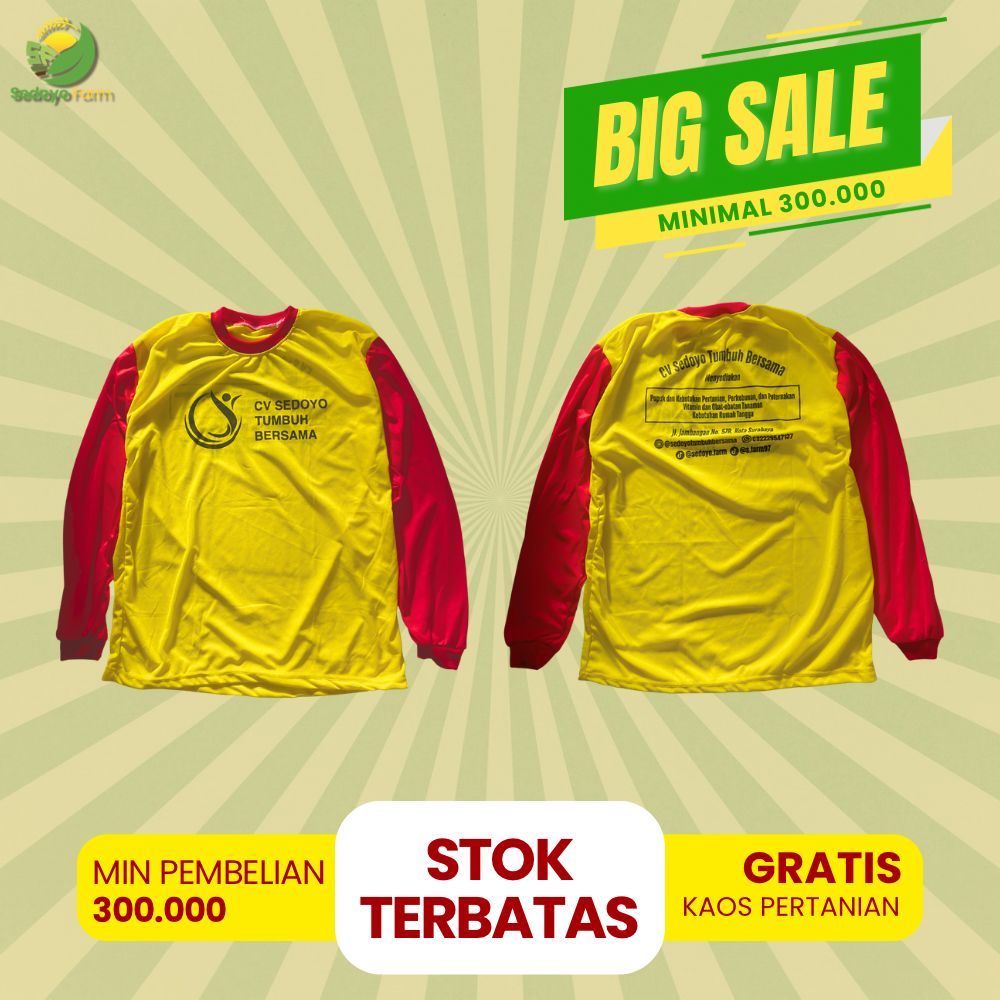 Hadiah Kaos Sedoyo