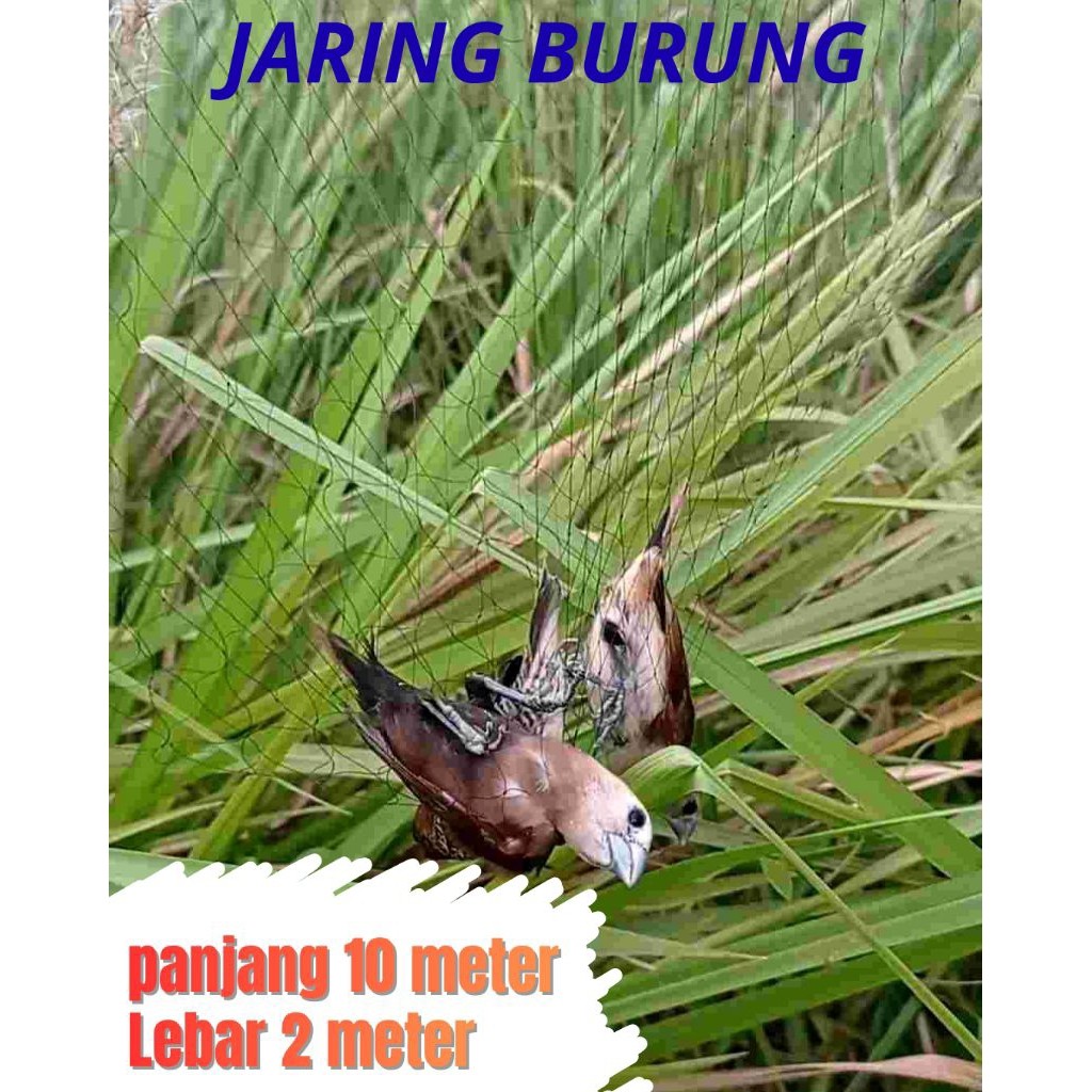 jaring burung hitam jaring burung kecil jaring burung pipit jaring murah jala burung