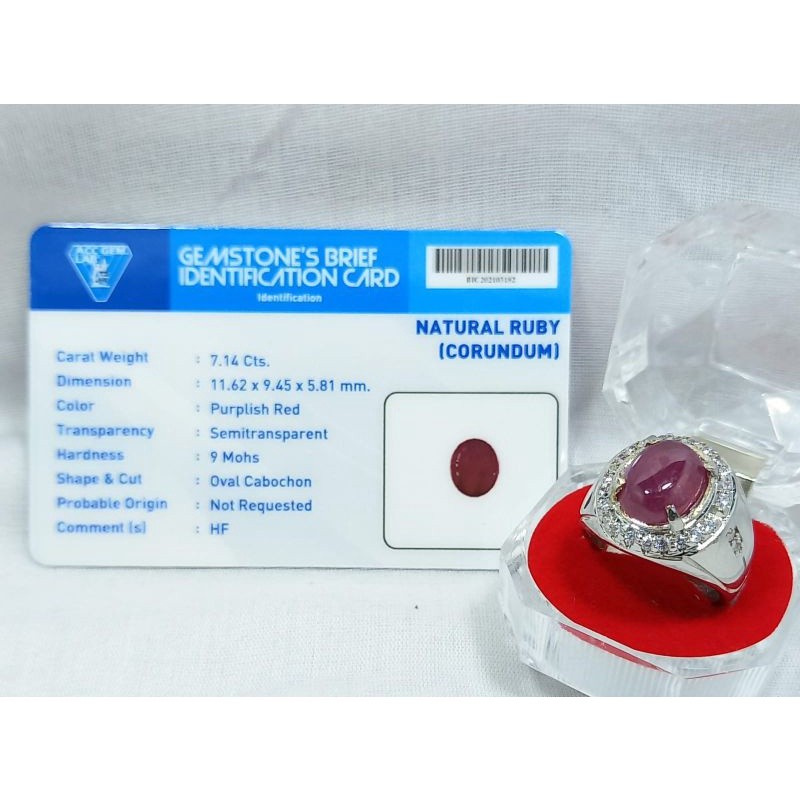 CINCIN BATU PERMATA RUBY ASLI NATURAL DILENGKAPI DENGAN SERTIFIKAT/ MEMO LAB