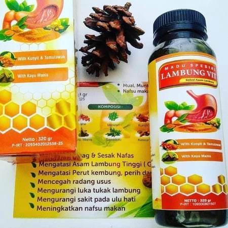 OBAT LAMBUNG MADU Lambung Vit Obat Maag Asam Lambung GERD