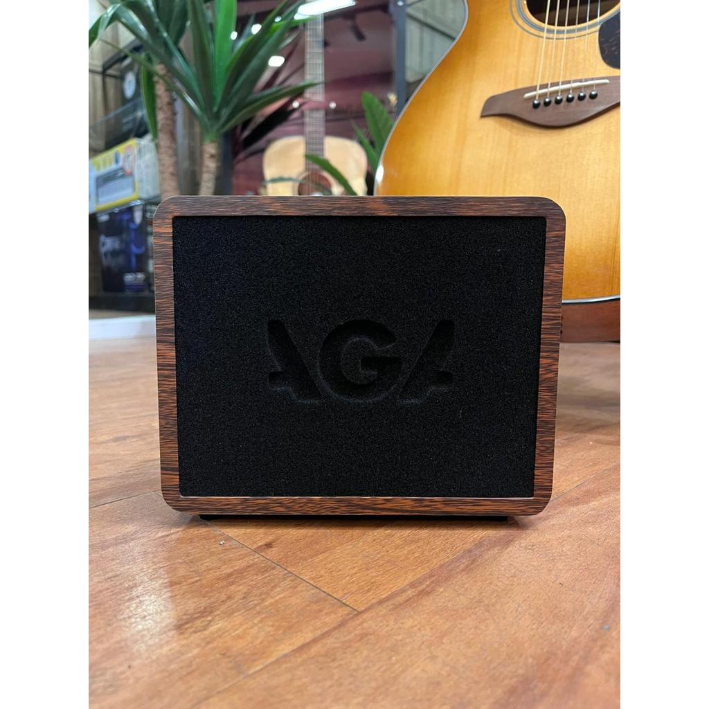 AGA G2 MINI ACOUSTIC GUITAR AMP