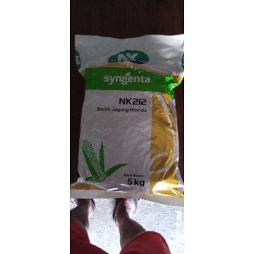 BENIH JAGUNG NK 212 KEMASAN 5KG