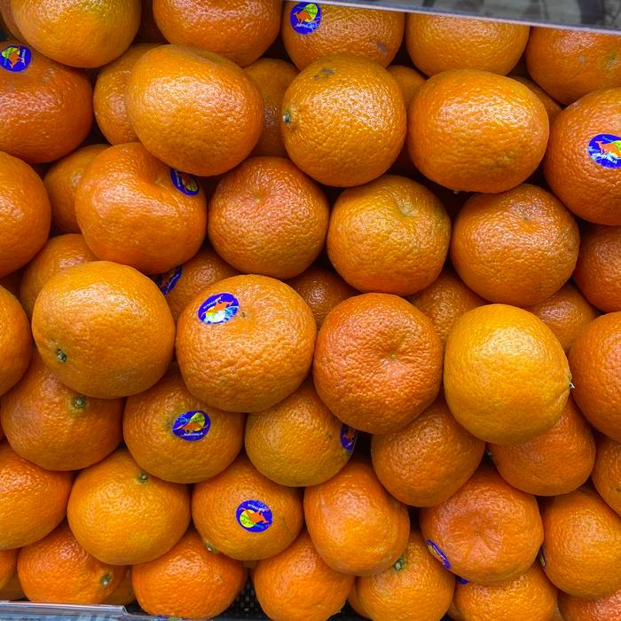 Jeruk mandarin frimong australia fresh 1 kg