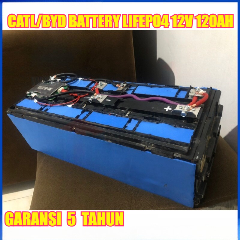 Battery Lifepo4 12v/24v 100Ah /120ah Plus BMS Baterai LifePo 12V 100Ah
