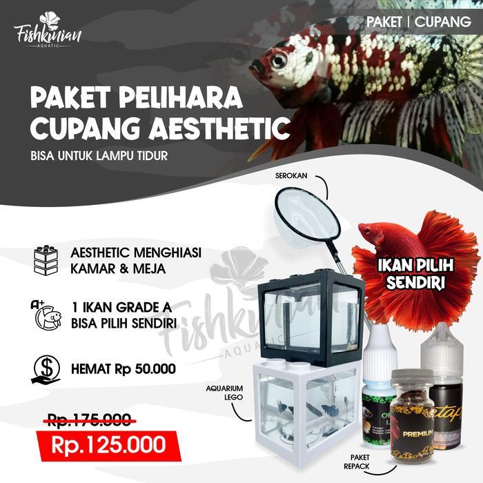 Paket lengkap pelihara ikan hias cupang - hiasan kamar / meja - Halfmoon, lego hitam