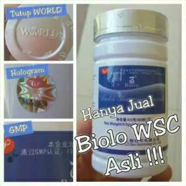 Biolo WSC (World Slimming Capsule) Produk Import Original