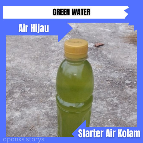GREEN WATER Air Hijau / Starter Air Kolam / kultur kutu air