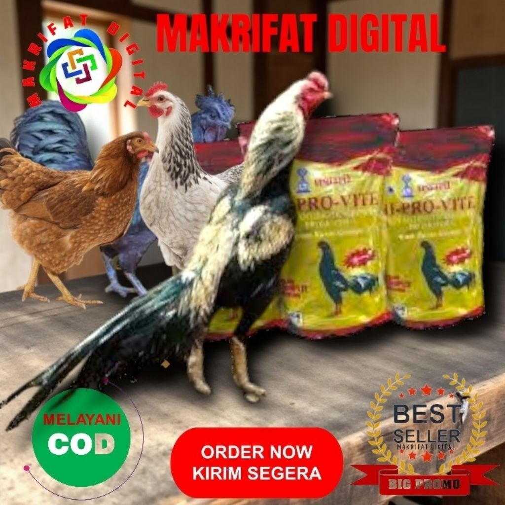 ZACK MART Paket 3 Kg Sentrat Poer Pur Voer A595K Pakan AYAM PREMIUM Khusus Ayam Bangkok Birma Shamo 